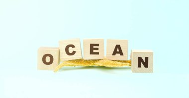 Sözcük okyanusu ahşap bloklar ve sarı denizyıldızından yapılmıştır