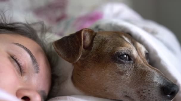 Ragazza testa e cane museruola si trovano insieme sul cuscino dormire — Video Stock