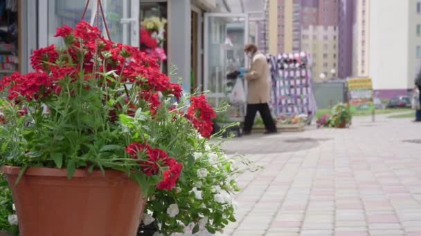 Hängande blomkruka med röda växter mot lokal stormarknad — Stockvideo