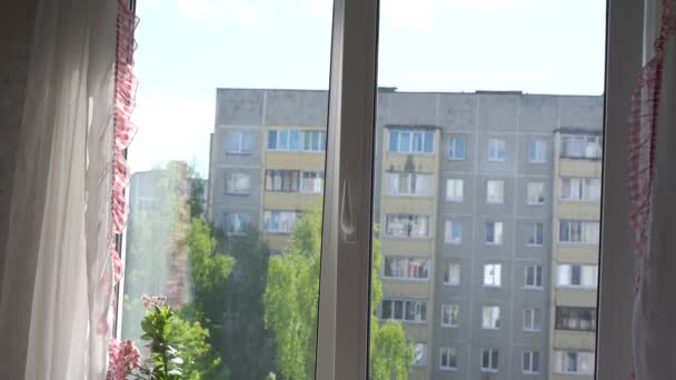 Edificio urbano grigio e marrone tra gli alberi sotto la luce del sole — Video Stock