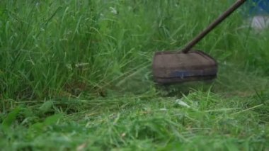 Eski metal çim biçme makinesi yüksek yemyeşil çimenleri kesiyor.