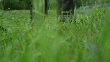 Metal çim biçme makinesine karşı yemyeşil çimenler sallıyor.