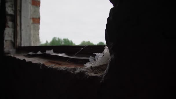 Grauer Himmel außerhalb des alten ruinierten Kuhstalls Fensterloch Nahaufnahme — Stockvideo