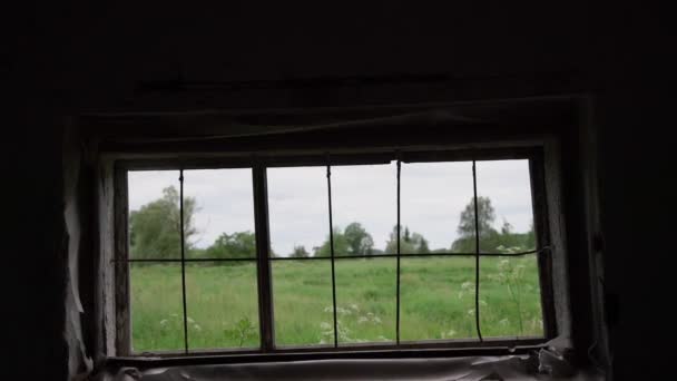 Wiese und Wald vor zerstörtem Fenster eines verlassenen Kuhstalls — Stockvideo