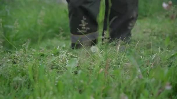 Metalen grasmaaier maait gras tegen mannenbenen dichtbij zicht — Stockvideo