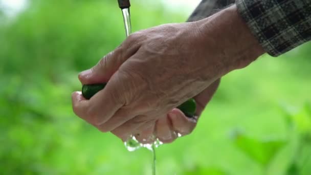 Hombre mayor manos lavar los pepinos en agua corriente primer plano — Vídeo de stock