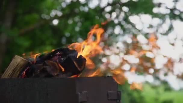 Burning fire of orange colour over woods in grill closeup — Stock Video