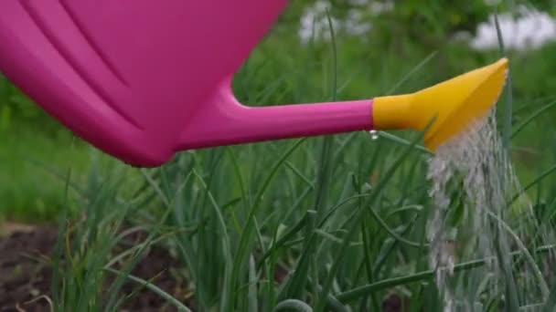粉红和黄颜色的洒水器 — 图库视频影像