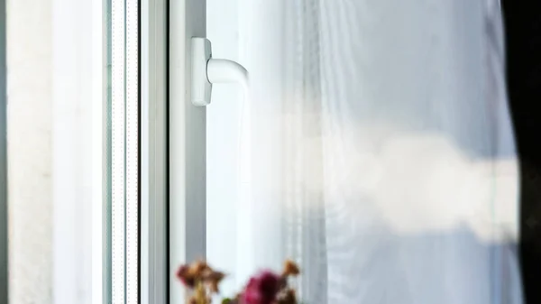 white curtains on plastic window and pot flower top closeup