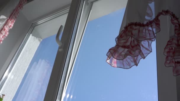 外の風と青い空になびくフリルのカーテン — ストック動画