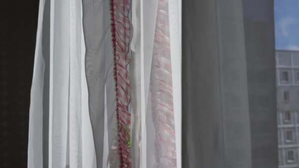 Witte en paarse gordijnen golvend door lichte wind bij het raam — Stockvideo