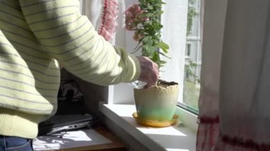 Erkekler çiçek sularlar pencere eşiğinde ve perdeleri kapatırlar.