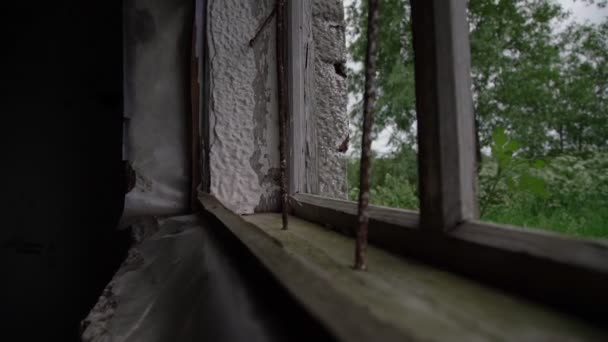 Bäume wehen im Wind vor zerbrochenem Fenster mit rostigen Gittern — Stockvideo
