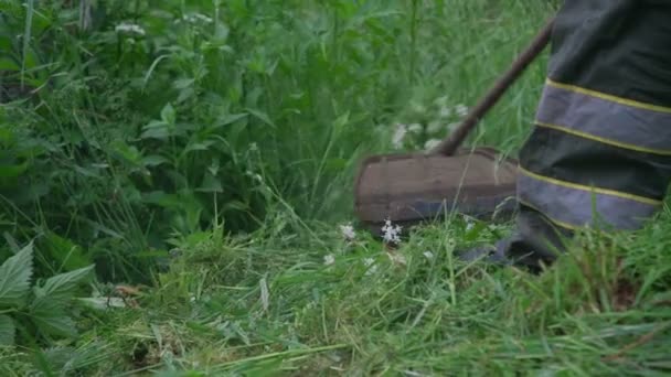 Pessoa em macacão corta grama verde com cortador de grama elétrico — Vídeo de Stock