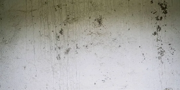 灰色の汚れの白い壁を捨て — ストック写真