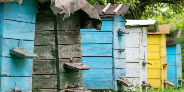 Dřevěné úly různých barev se nacházejí v místní vesnici — Stock fotografie