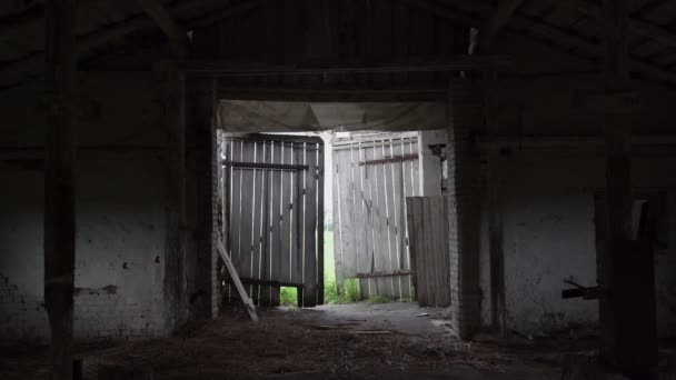 Sötét elavult elhagyott tehénistálló piszkos hámlasztó falakkal — Stock videók