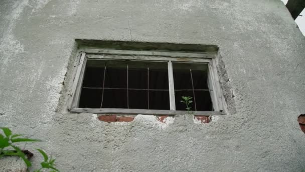 Σπασμένη αγροικία με ξεφλούδισμα σοβά και παράθυρο με σχάρα — Αρχείο Βίντεο