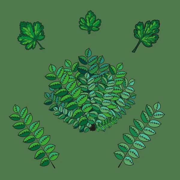 Набір Ілюстрацій Текстури Листя Гілок Дерев Різних Відтінків Зеленого Прикраси — стоковий вектор