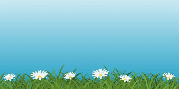 ヒナギクとの背景 草と野生の花の明るい草地 再現性のある自然のパターン 水平方向のシームレスな花の境界線 ベクトル図 — ストックベクタ
