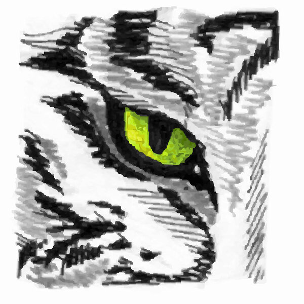 Tiger eye sketch. Sketchy grunge technique ink pen drawing of part of face of tiger with green eye. Vector illustration.