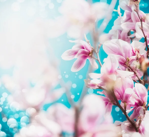Pěkný Růžový Květ Magnólie Strom Modrém Pozadí Oblohy Zblízka — Stock fotografie