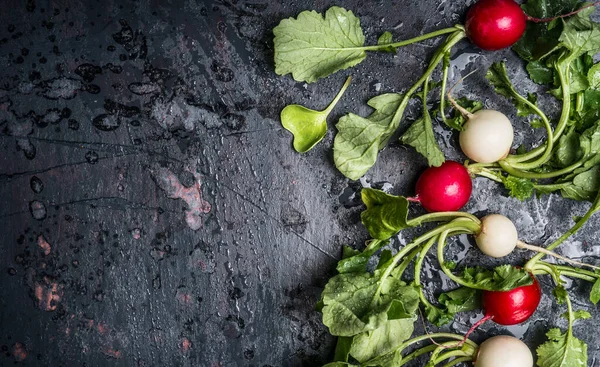 Colorful Radishes Green Haulm Leaves Dark Rustic Background Top View — Stock Photo, Image