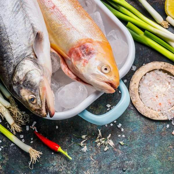 Visvoer Koken Ingrediënten Met Hele Forel Vis Bovenaanzicht Close — Stockfoto