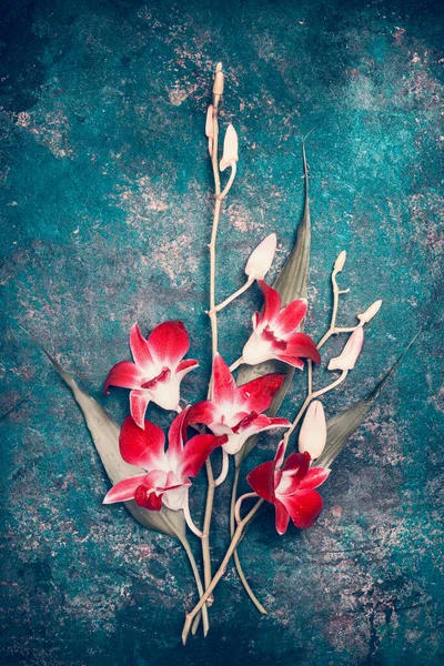 Red Lilies Floral Arrangements Dark Vintage Background Top View — Stock Photo, Image