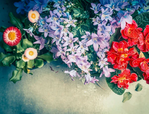 Λουλούδια Κήπου Γκρι Φόντο Κορυφαία Άποψη Ρετρό Στυλ — Φωτογραφία Αρχείου