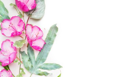 Açık arkaplanda yaz bahçesi çiçekleri