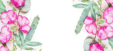 Açık arkaplanda yaz bahçesi çiçekleri