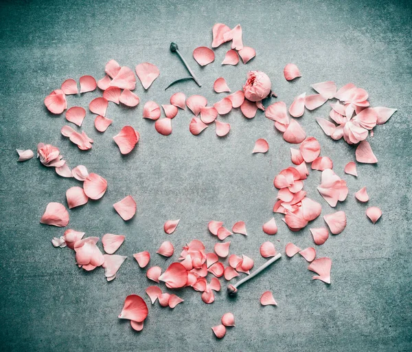 ターコイズブルーの素朴な背景 フラットレイアウト トップビュー フレーム 水平上の花の素敵なピンクのパステルの花びら — ストック写真