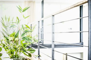 Modern odada kapalı yeşil bitki