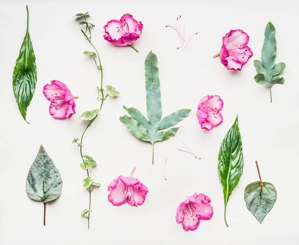 Floral Flat Lay Pink Flowers Various Green Leaves Flowers Plants — Stock Photo, Image