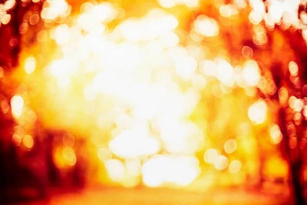 Θολή Φυλλώματα Φθινόπωρο Bokeh Ηλιαχτίδες Πτώση Υπαίθρια Φύση Φόντο — Φωτογραφία Αρχείου