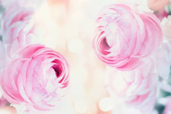 Roze Bloemen Pastel Achtergrond Met Bokeh — Stockfoto