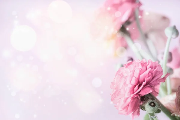 Rosa Blommig Pastell Gräns Med Bokeh Bakgrund Och Smörblomma Blommor — Stockfoto