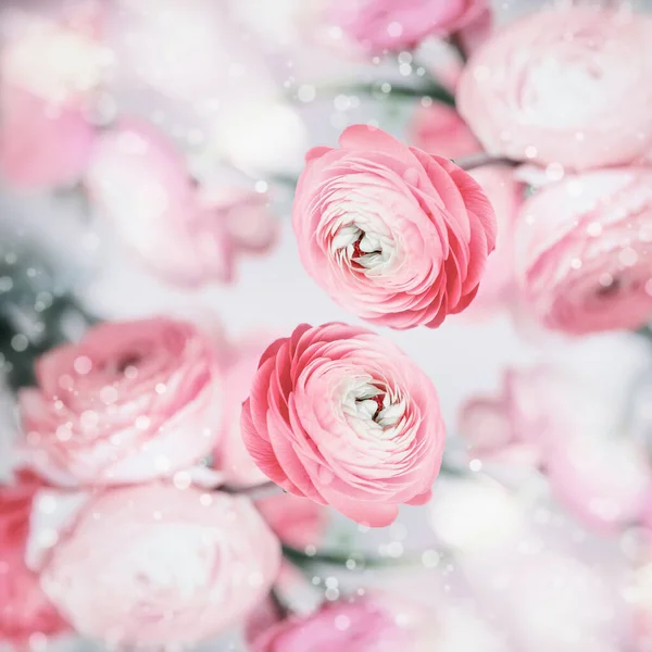 Mooie Bloemen Achtergrond Met Mooie Roze Bleke Bloemen Bokeh Pastel — Stockfoto