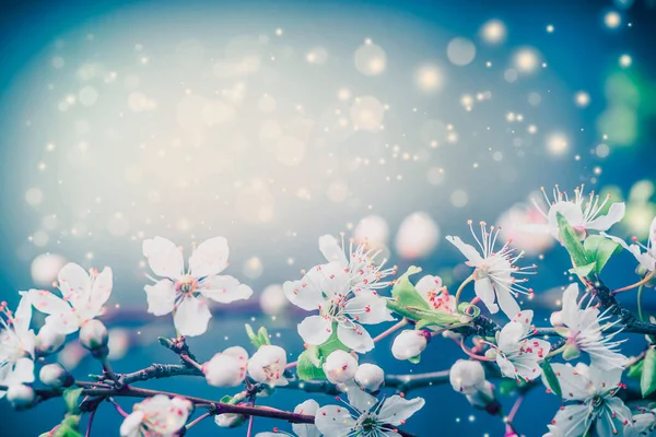 美しい花の背景 春または夏の自然日当たりの良いボケ照明とパステルブルーの空の花の境界線 — ストック写真