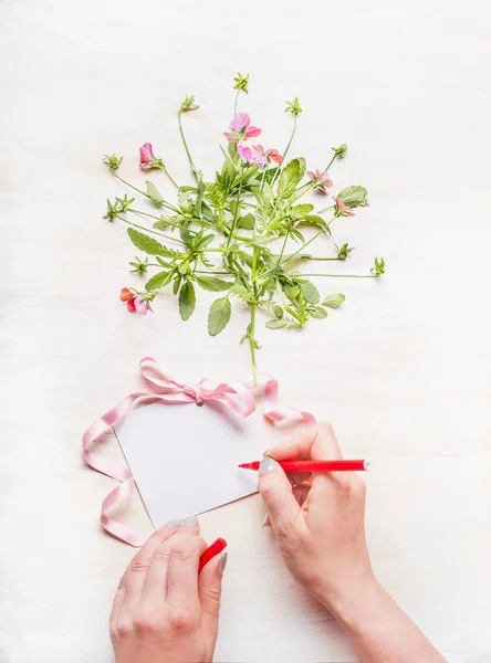 用白色的木制背景写一张问候卡片 上面有花束和粉色缎带 顶部视图 复制空间 — 图库照片