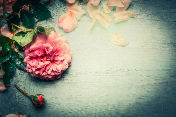 ピンクのバラの花と花の背景トルコ石みすぼらしいシックな木 トップビュー レトロなトーン — ストック写真