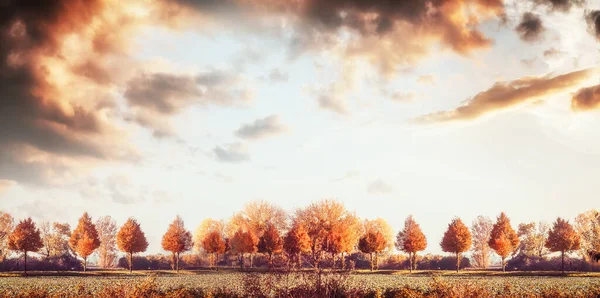 Piękna Jesienna Panorama Krajobrazu Drzewami Polami Niebem Spadek Zewnątrz Natura — Zdjęcie stockowe