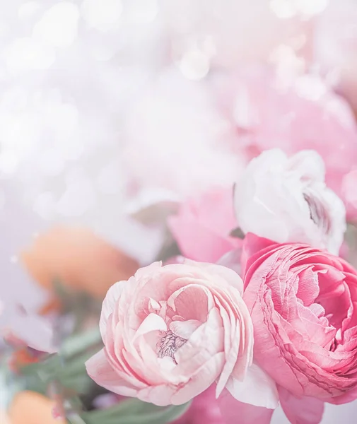 Close Van Pastel Roze Bloemen Bokeh Achtergrond Feestelijke Wenskaart — Stockfoto