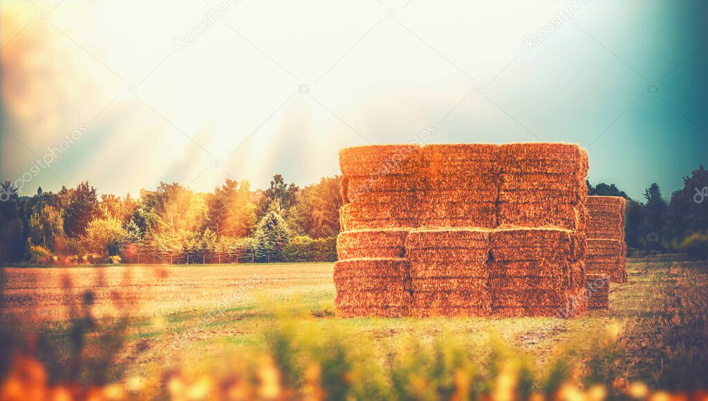 Rural late summer country landscape with wheat haystack or straw bales on field, agriculture farm and farming