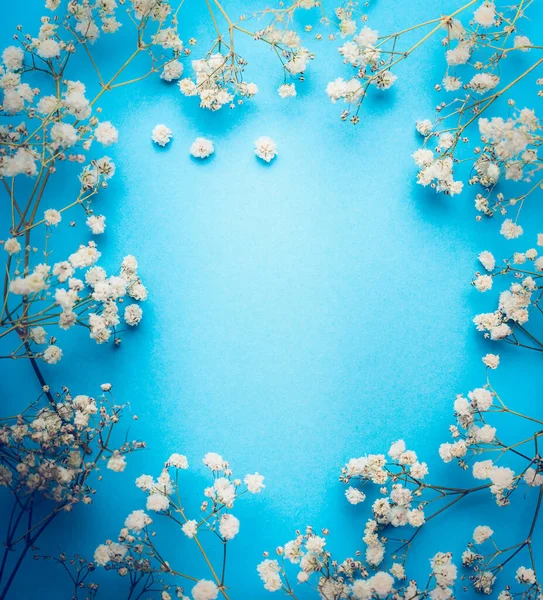 Цыганка Дыхательные Цветы Синем Фоне Рамка Белых Цветов Вид Сверху — стоковое фото