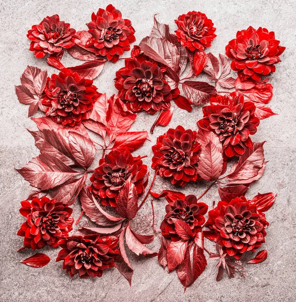 Vacker Kreativ Röd Höst Blommor Och Blad Layout Komponera Blommigt — Stockfoto