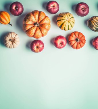 Açık arkaplanda çeşitli renkli balkabakları ve elmalar var. Balkabağı ve kenar ile besteleme