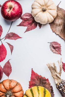Beyaz masa zemininde çeşitli renkli balkabaklarından, elma ve düşme yapraklarından oluşan yaratıcı düz bir yatak, üst manzara. Sonbahar düzenleme veya şablon arka planı, düz yatıyordu