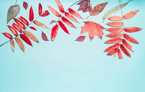 Mooie Herfst Seizoensgebonden Componeren Grens Gemaakt Met Verschillende Kleurrijke Herfstbladeren — Stockfoto